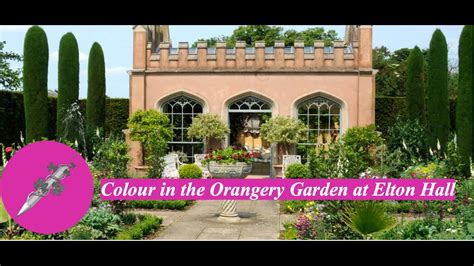 Colour in The Orangery Garden at Elton Hall .